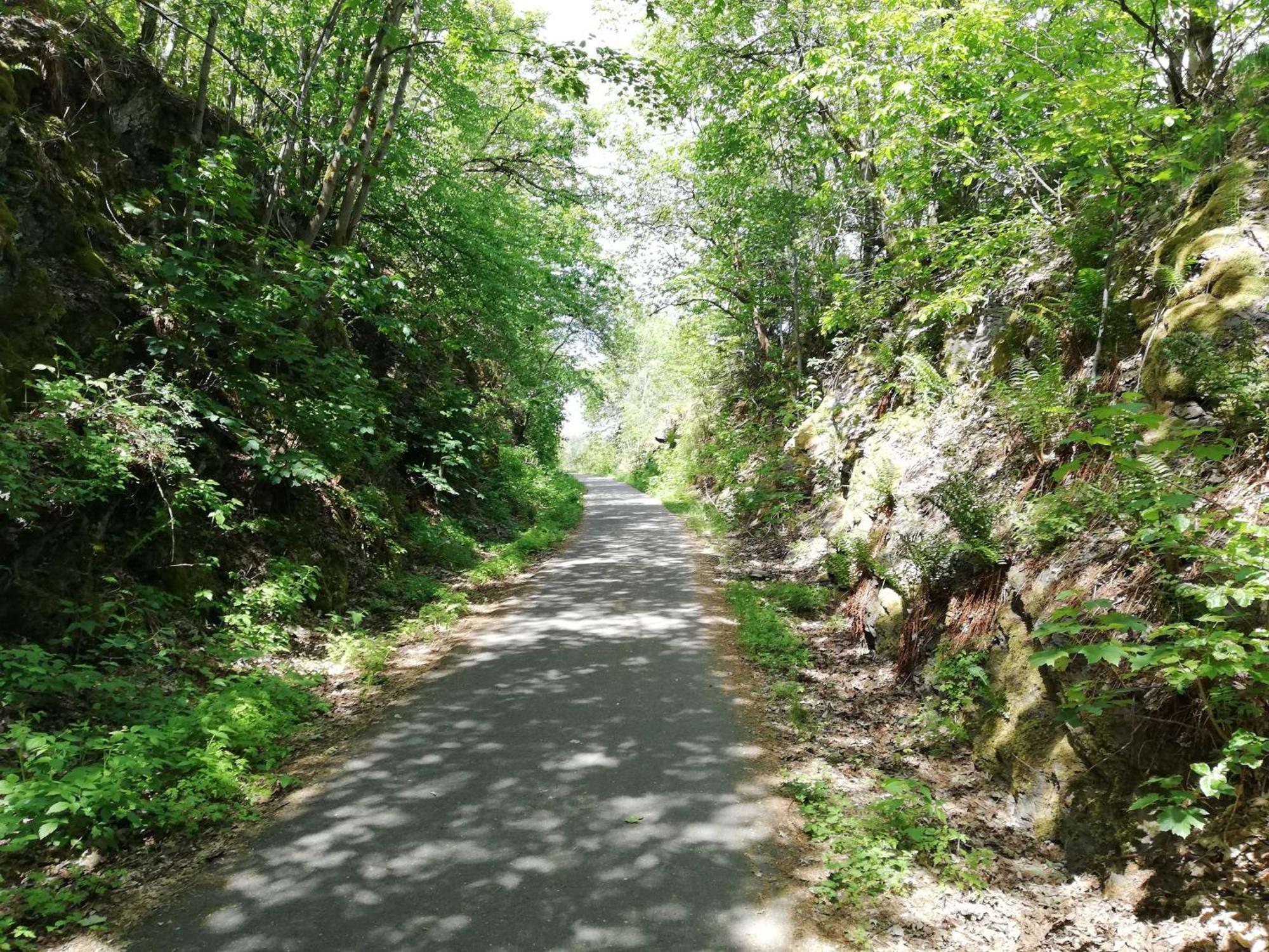 Ferienwohnung Bergwiese Schwarzenbach am Wald Εξωτερικό φωτογραφία
